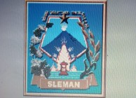 DPUPKP Sleman Catat Jalan 67,65…