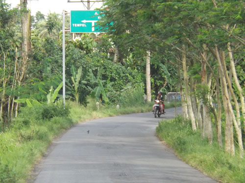 Pengendara Sepeda onthel Gugup Jatuh Ke Kiri  'Sopir  Pickup Banting Setir Ke Kanan  Menolong  dan  Pergi 