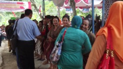 Mengenal kelas dalam lomba perkutut…