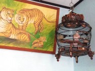 Gagal Nyaleg 2019 Bisa Tekuni Dunia…