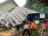 Angin Kencang Mengakibatkan Pohon…