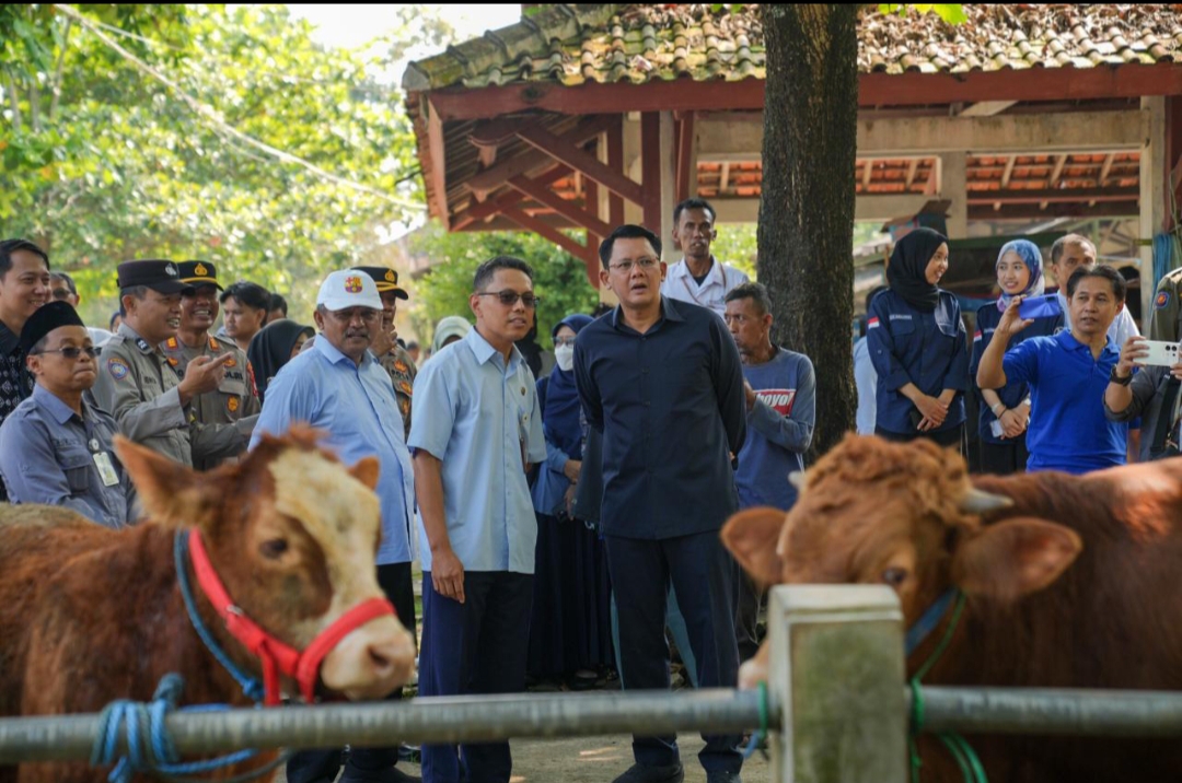 Jelang Idul Adha, Wabup Sleman Pastikan Ketersediaan dan Kesehatan Hewan Kurban Aman